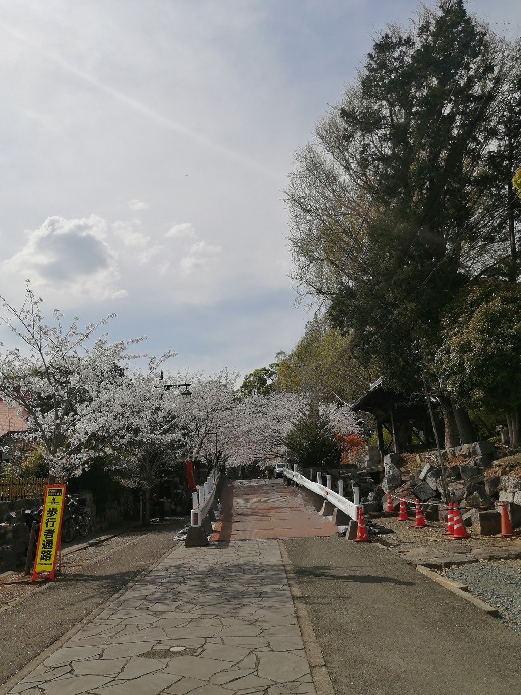 くま子さんのくふう画像